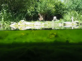 NaturOparC Hunawihr, Alsace (France)